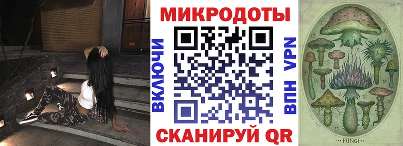 мега ссылка  Павловская  Галлюциногенные грибы MAGIC MUSHROOMS 